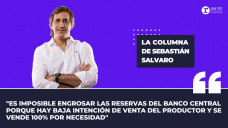 Columna Sebastián Salvaro: “Lo que dejó la primera semana del programa de incentivos a la exportación”