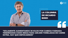 Columna de Ricardo Bindi: 