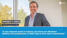 Enrique Flaiban, CEO del Grupo Los Grobo