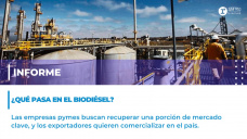 Informe: ¿Qué pasa en el biodiesel?