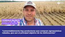 Gonzalo Blasco, presidente de Apronor