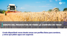 Minuto del productor: Se viene la campaña de trigo