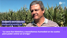 Roberto Rotondaro, presidente de Fertilizar AC