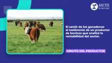 Minuto del productor: El sentir de los ganaderos.