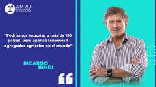 Columna Ricardo Bindi: Cómo logramos crecer todos juntos reiventandonos