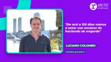 Luciano Colombo, analista ganadero.