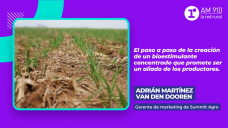 Adrián Martínez Van Den Dooren, Gerente de marketing de Summit Agro.