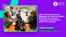 Jorge Gambale, subdirector adjunto de Aapresid.