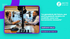 Gustavo Valls, presidente de Valls S.A