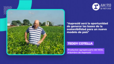 Teddy Cotella, productor agropecuario del NOA, miembro de Aapresid
