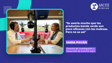 Mara Paván, gerenta de Investigación y Desarrollo de Summit Agro.