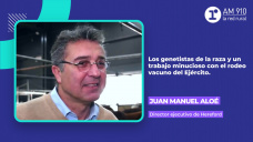 Juan Manuel Aloé, director ejecutivo de Hereford