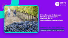 Minuto del productor: la sequía golpea a la uva sanjuanina