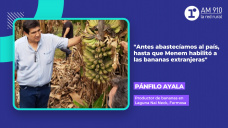 Pánfilo Ayala, productor de bananas en Laguna Nai Neck, Formosa