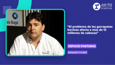 Espacio ganadero: Control de garrapatas