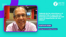 Gustavo Egea, enólogo de la bodega Renacer