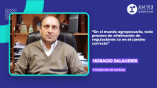 Horacio Salaverri, presidente de Carbap