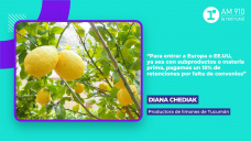 Diana Chediak, productora de limones de Tucumn