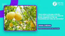 Diana Chediak, productora de limones de Tucumán