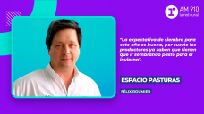 Espacio pasturas: Felix Roumieu, gerente comercial de Gentos
