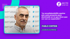 Pablo Cortese, presidente de SENASA