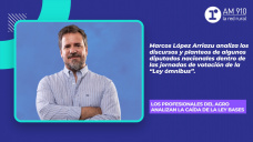 El análisis de Los Profesionales del Agro sobre la caída de la “Ley Bases”