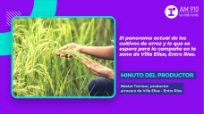 Minuto del productor: Néstor Tornour, productor arrocero de Villa Elisa - Entre Ríos