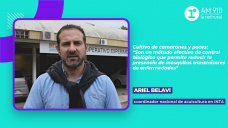 Ariel Belavi, coordinador nacional de acuicultura en INTA
