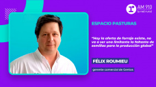 Espacio pasturas: Félix Roumieu, gerente comercial de Gentos