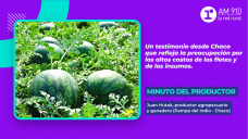 Minuto del productor: Juan Hutak, productor agropecuario y ganadero (Pampa del Indio - Chaco)