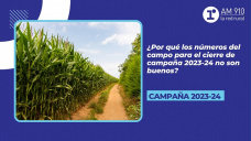 La campaña 2023-24