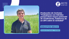 Sebastián Bravo, Gerente de Carinata – NUSSED