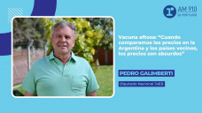 Pedro Galimberti, Diputado Nacional JxER