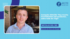 Nicolás Del Sel – Gerente de Marca de Neogen