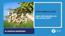Todo sobre el Maní ¿Qué está pasando con esta producción?
