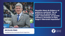 Nicolás Pino - presidente de la Sociedad Rural Argentina