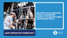 ¿Qué cantidad de tambos hay?