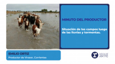 Minuto del productor - Emilio Ortiz (Corrientes)
