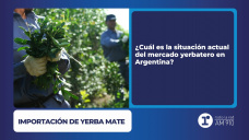 Importación de Yerba Mate en Argentina