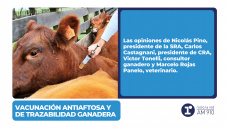 Vacunación Antiaftosa y de Trazabilidad Ganadera