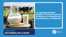 Día Mundial de la Leche
