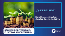 ¿Qué es el RIDA?