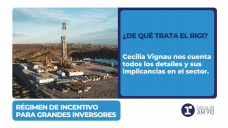 ¿De qué trata el RIGI? - por Cecilia Vignau