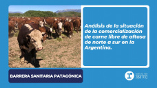 Barrera sanitaria patagónica