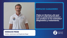 Espacio Ganadero: Piojos en bovinos – Horacio Pessi