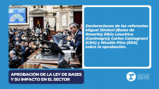 Aprobación de la Ley de Bases y su impacto en el sector