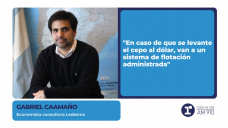 Gabriel Caamaño - Economista consultora Ledesma