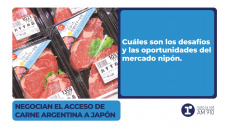 Negocian el acceso de carne argentina a Japón