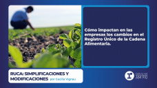 RUCA: simplificaciones y modificaciones- por Cecilia Vignau