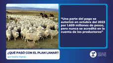 ¿Qué pasó con el Plan Lanar? - por Cecilia Vignau